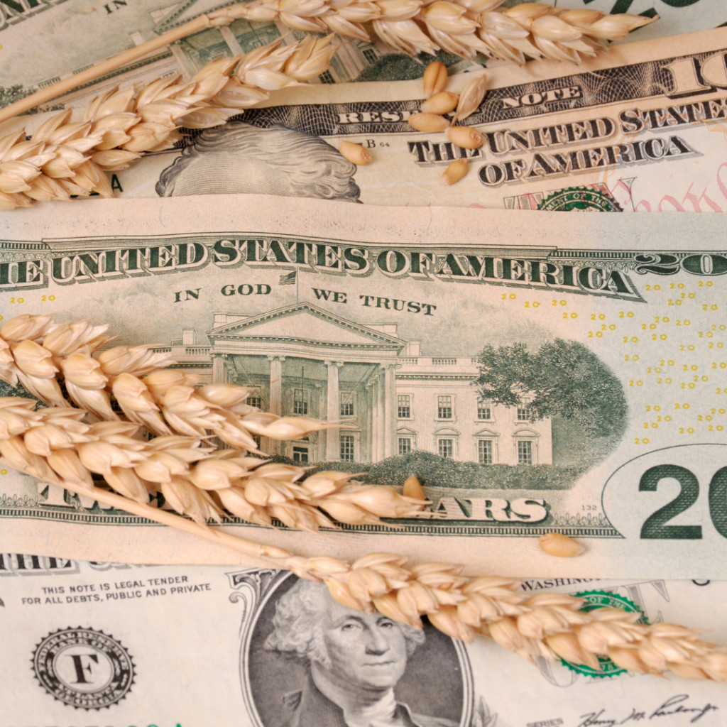 Atualizações do Mercado de Commodities: Cotações Internacionais em destaque