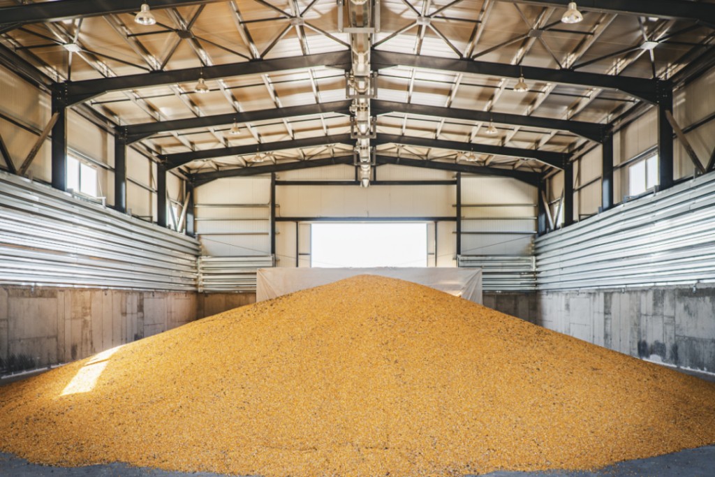 Greenfield Global Inc. faz pacto de fornecimento de milho com CFS