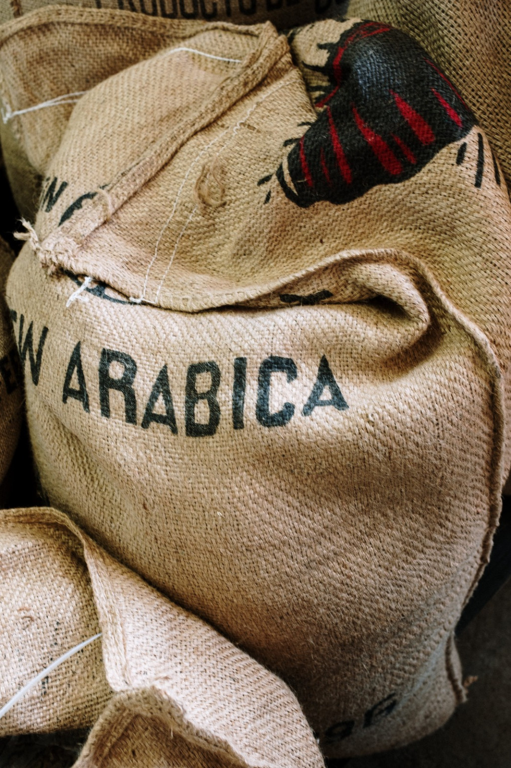 Café Brasileiro: colheita recorde em 2023/24 impulsiona setor agrícola