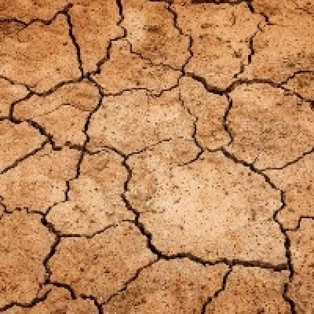El Niño deve “devastar economia mundial”, diz agência