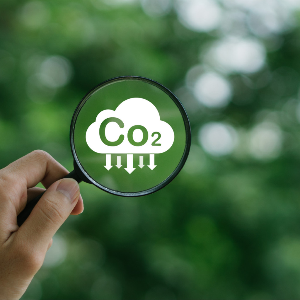 Dinamarca introduz imposto inédito sobre emissões de CO2 no Gado