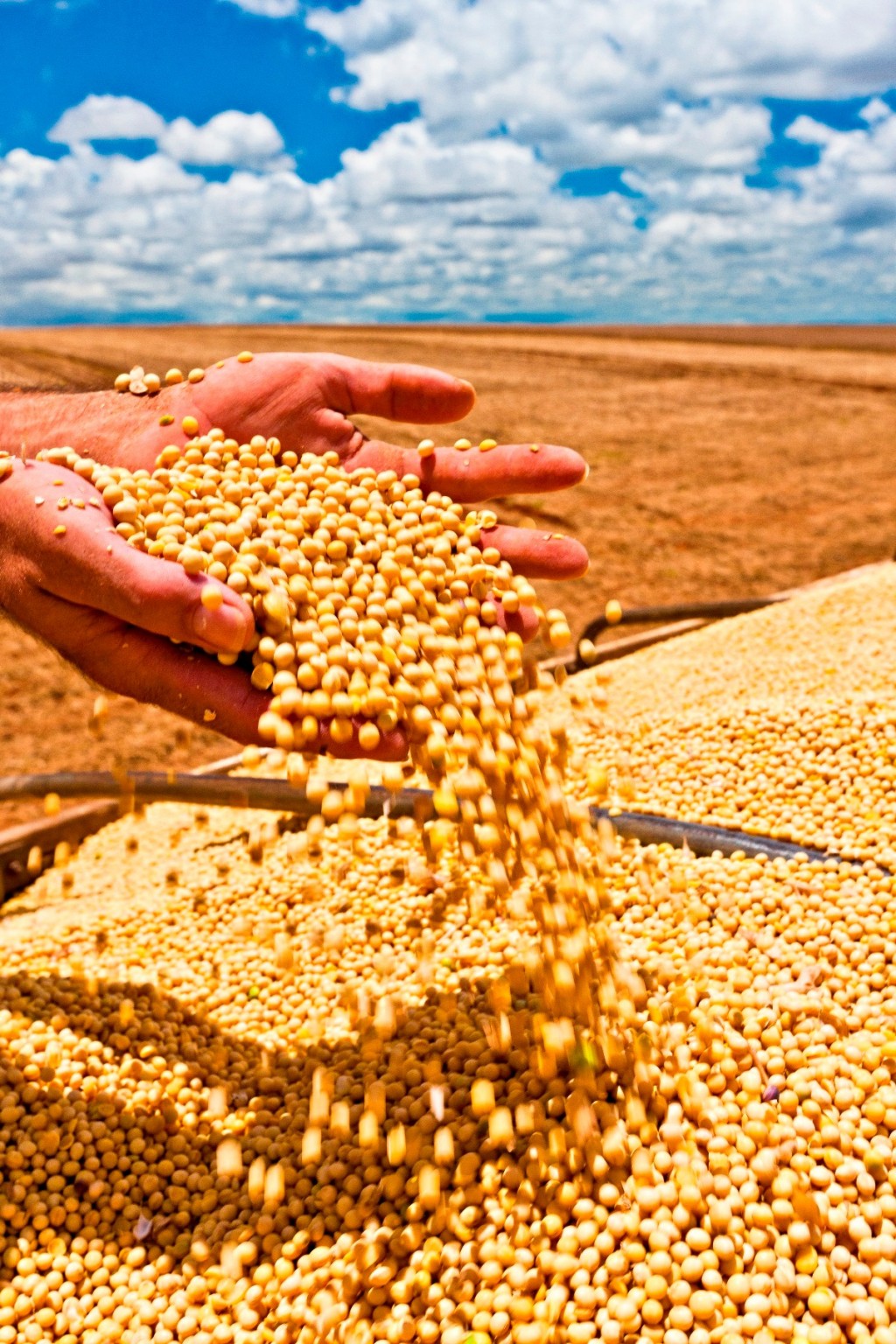China proíbe bancos de vender produtos de commodities a pequeno investidor